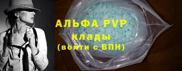 дживик Кинешма