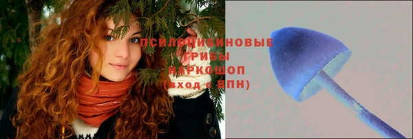 дживик Кинешма