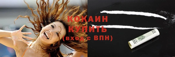 дживик Кинешма