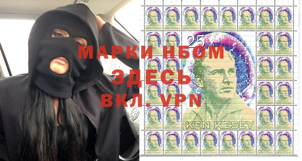 дживик Кинешма