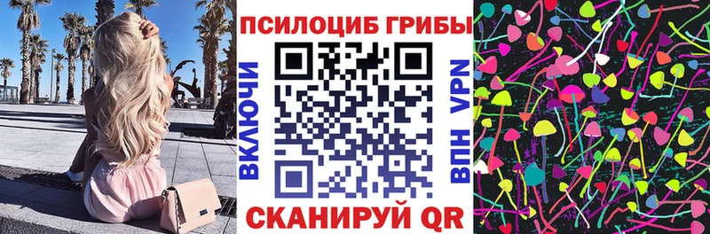 Псилоцибиновые грибы мицелий  Купить закладки  Пущино 